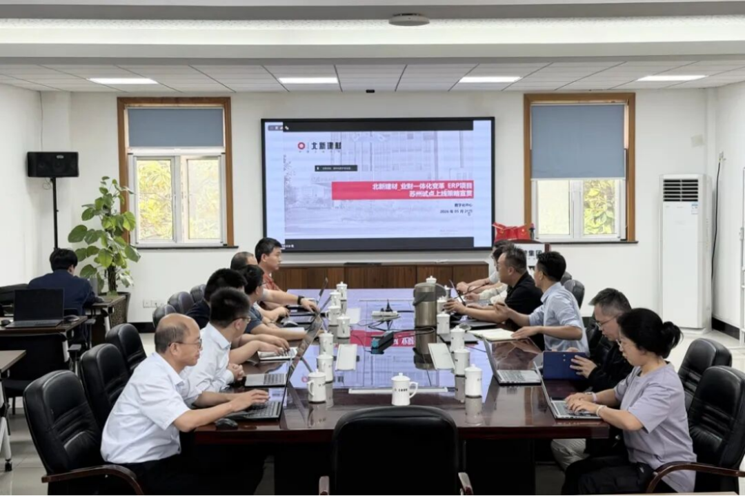 北新建材業(yè)財(cái)一體化試點(diǎn)上線報告1289